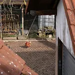 Obere Alm Apartamento