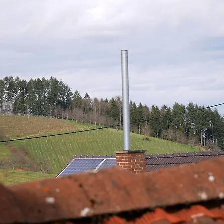 Apartment Obere Alm *