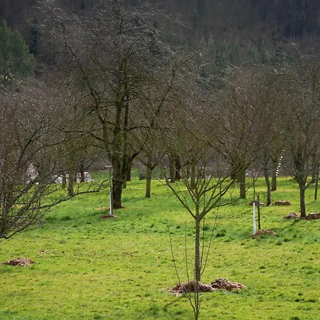 Apartment Obere Alm *